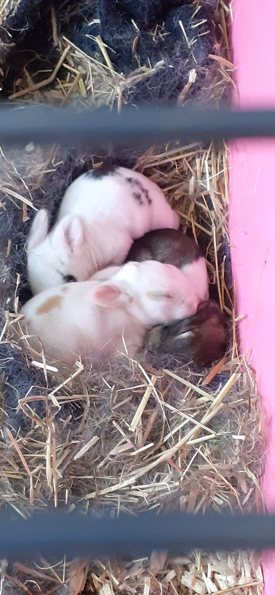 My new arrivals.

facebook.com/10005342958557…