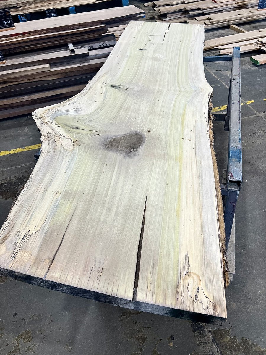 Eutree's tweet photo. NEW poplar slab inventory! 👀 

#liveedge #liveedgeslabs #forestfree https://t.co/L1sldVUlHo
