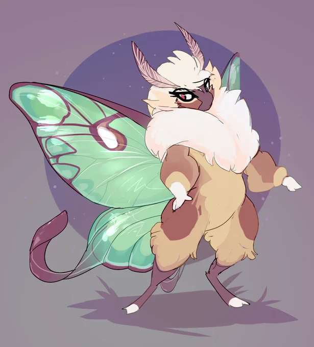 Opening for Moth People Cmmissions! They're 66 USDI am happy to moth-ify a preexisting design or create a brand new character!Only 5 slots open! Please DM me if you would like a slot. 