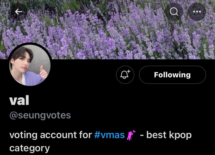 J1nisells's tweet photo. @seungvotes Proof for #StrayKids https://t.co/3emmhh5LO2