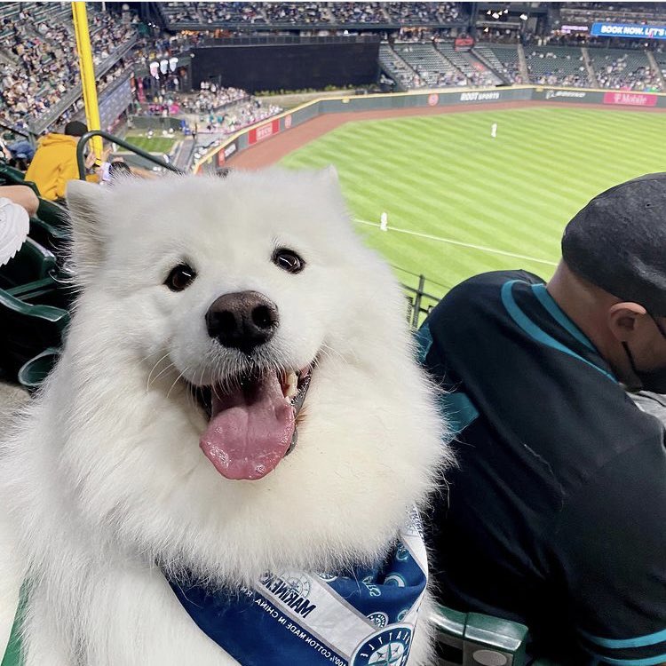 tiny__po's tweet image. #피오 #표지훈