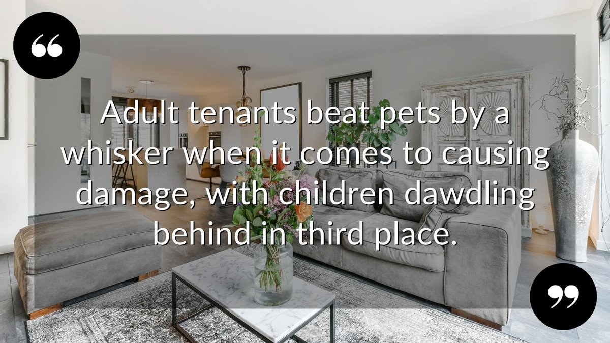 Which #tenants cause more damage? Adults, children or pets? Find out in our new #buytolet #lettings blog of #landlordtips for #uklandlords : cutt.ly/HXanPOh
 
#BurgessHillproperty #landlordtips #BurgessHillestateagent  #BurgessHill