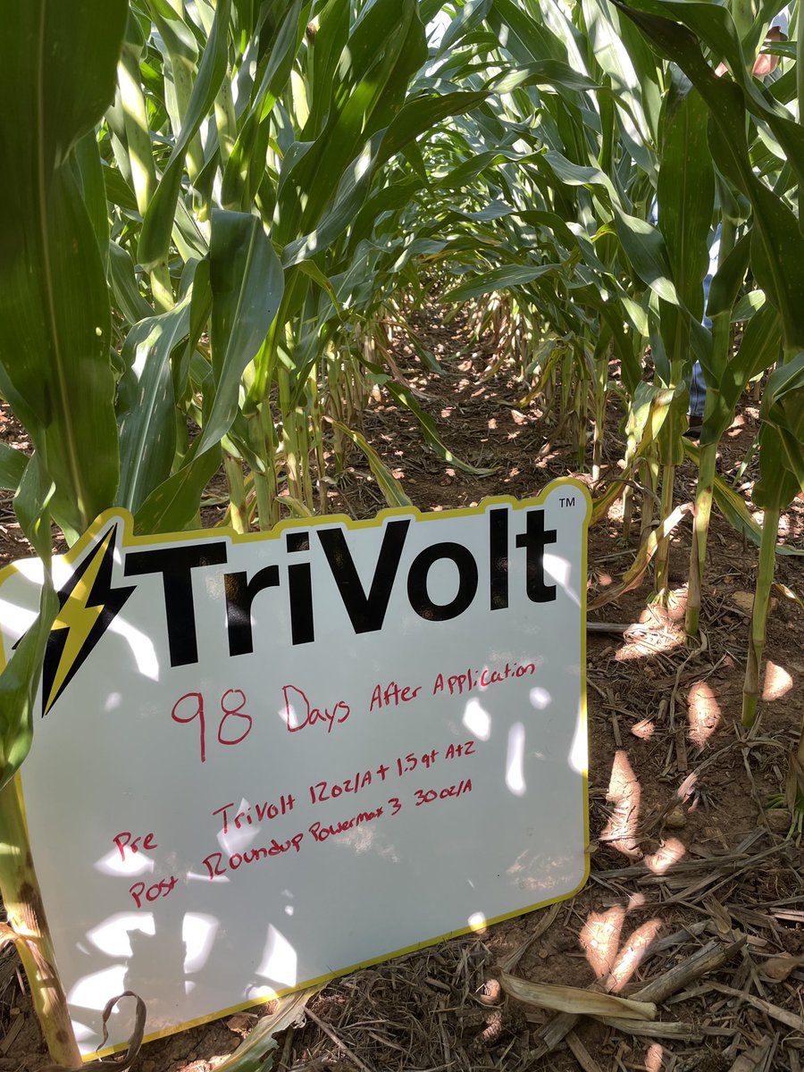 IN/KY Bayer Crop Protection tweet media