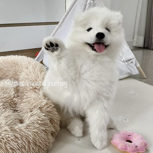 tiny__po's tweet image. #피오 #표지훈