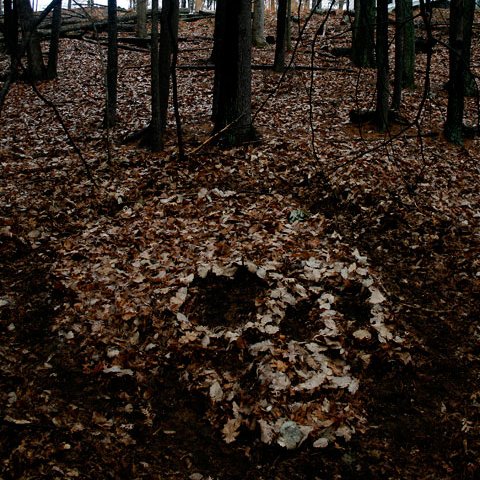 amhaunted's tweet photo. Signs and wonders https://t.co/qGlOPeuoul https://t.co/9pLKWp7jtQ