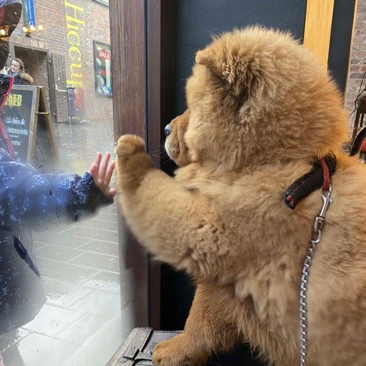 tiny__po's tweet image. #피오 #표지훈