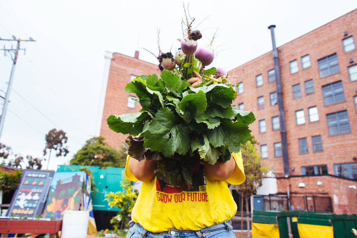 UC Master Gardeners 🌱 tweet media