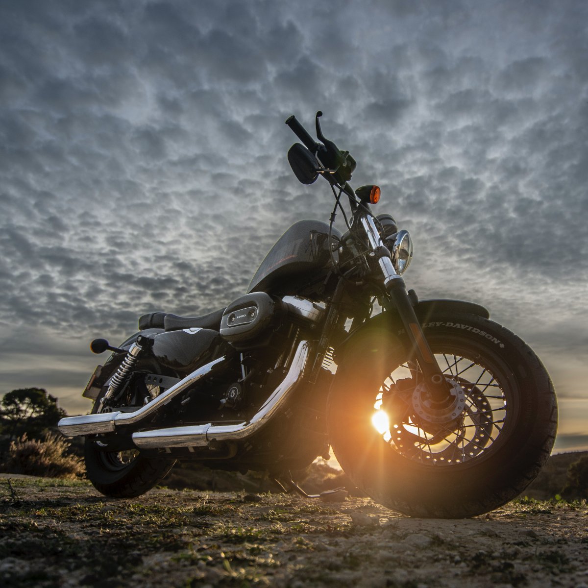 SacramentoHD's tweet photo. You can't reach the finish line when you don't have the right vehicle. Drive off on your dream bike today once you visit us at Harley Davidson of Sacramento. #HarleyDavidsonOfSacramento #HarleyDavidson #Harley #HarleysOfTwitter #HarleysOfInstagram https://t.co/OBurA9UcA3