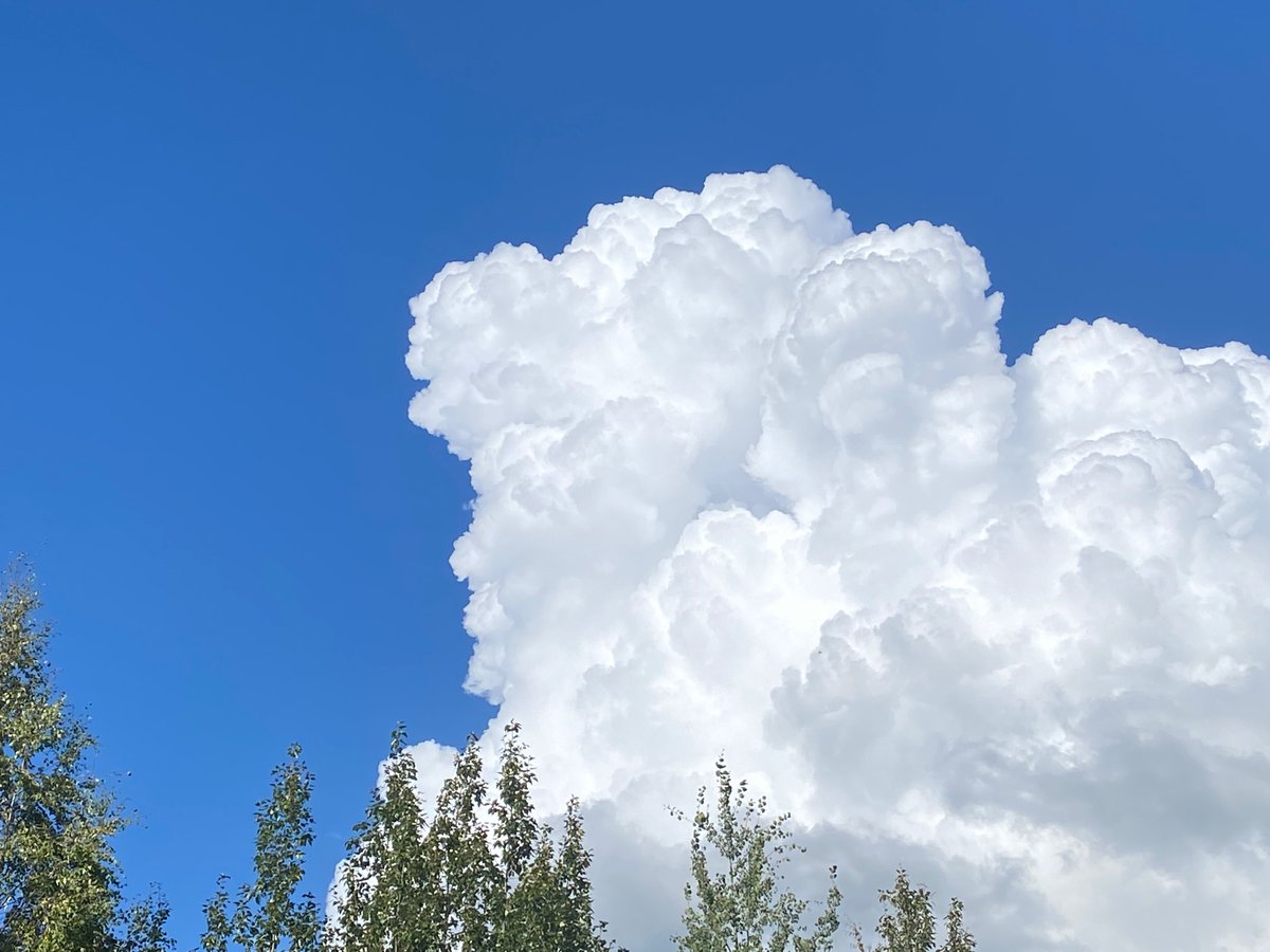 sara_miller111's tweet photo. One looked like a 🐢 and the other a little 🐖 - such cute clouds yesterday! ♥️💜♥️

#lookatthatsky #clouds #PhotoOfTheDay https://t.co/5tpwaIPHgu