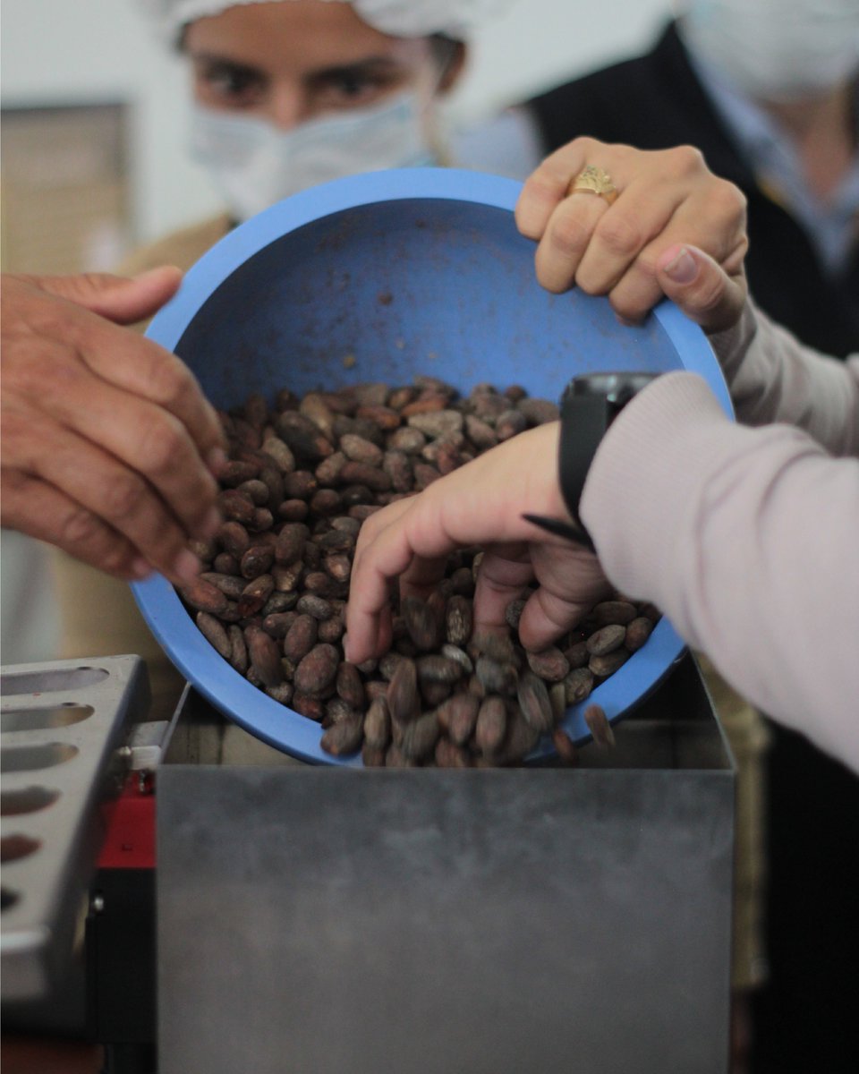 SOLTECAL's tweet photo. El día de hoy realizamos otra versión del taller Bean To Bar, de la mano de nuestro equipo de trabajo, expertos en transformación de cacao a chocolate.
#chocolate #beantobar #soltecal #kakaolate https://t.co/ee9u7xCdqh
