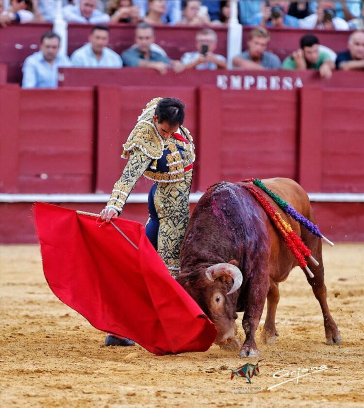 alexmasdeu_'s tweet photo. Només pot quedar-ne un. A qui salves? https://t.co/MKl8xAe22J