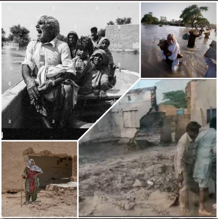 nadir_azam23's tweet photo. #A great loss of humanity in tehsil taunsa of south Punjab. There is no avail of facility to face the floods. These are also Pakistanis and pay taxes. Hundreds of children's have been died in the flood in taunsa.
  #تونسہ_بچاؤ
#TaunsaNeedsAttention https://t.co/QSQV1wzgil
