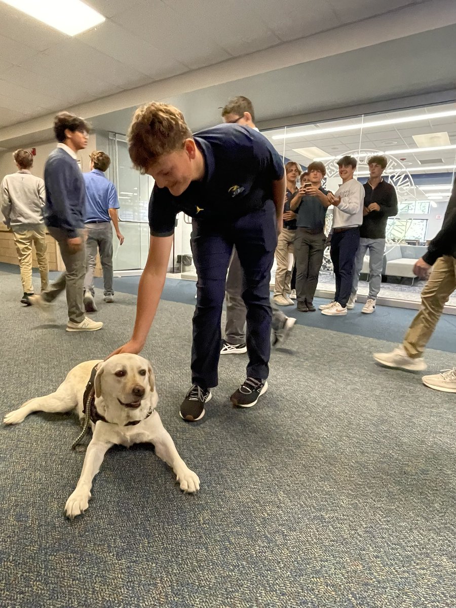 DCC_Counseling's tweet photo. Welcome to CC, Keeper 🦮!! @DCCFrank_ is so happy to have the day off knowing you’re keeping an eye on all his friends. Keeper stays with Mrs. Sprys-Tellner, CC College and Career Counselor. #WEareCCX https://t.co/vE1kmixDWJ