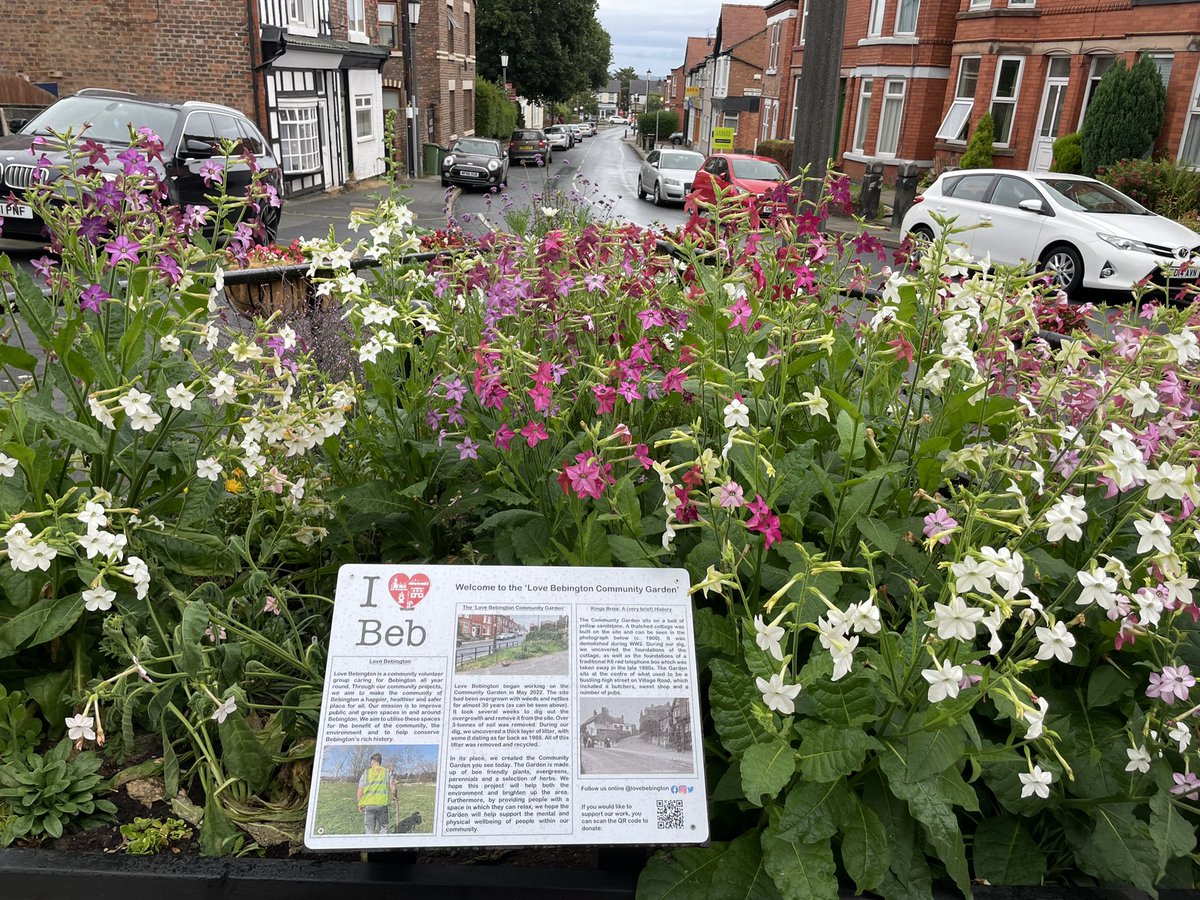 LoveBebington's tweet photo. Horray to the rain!☔️ 🌧 🌸 🌺 🌱 🪴 

#comunity #communitygarden #wirral #Merseyside #greenspace #wellness #Wellbeing #flowers #earth #outdoors #Nonprofits #communitygroup #volunteers #lovebebington #ch63 #rain #plants #beegarden #bees #Weathercloud https://t.co/LYFSYh2JRB