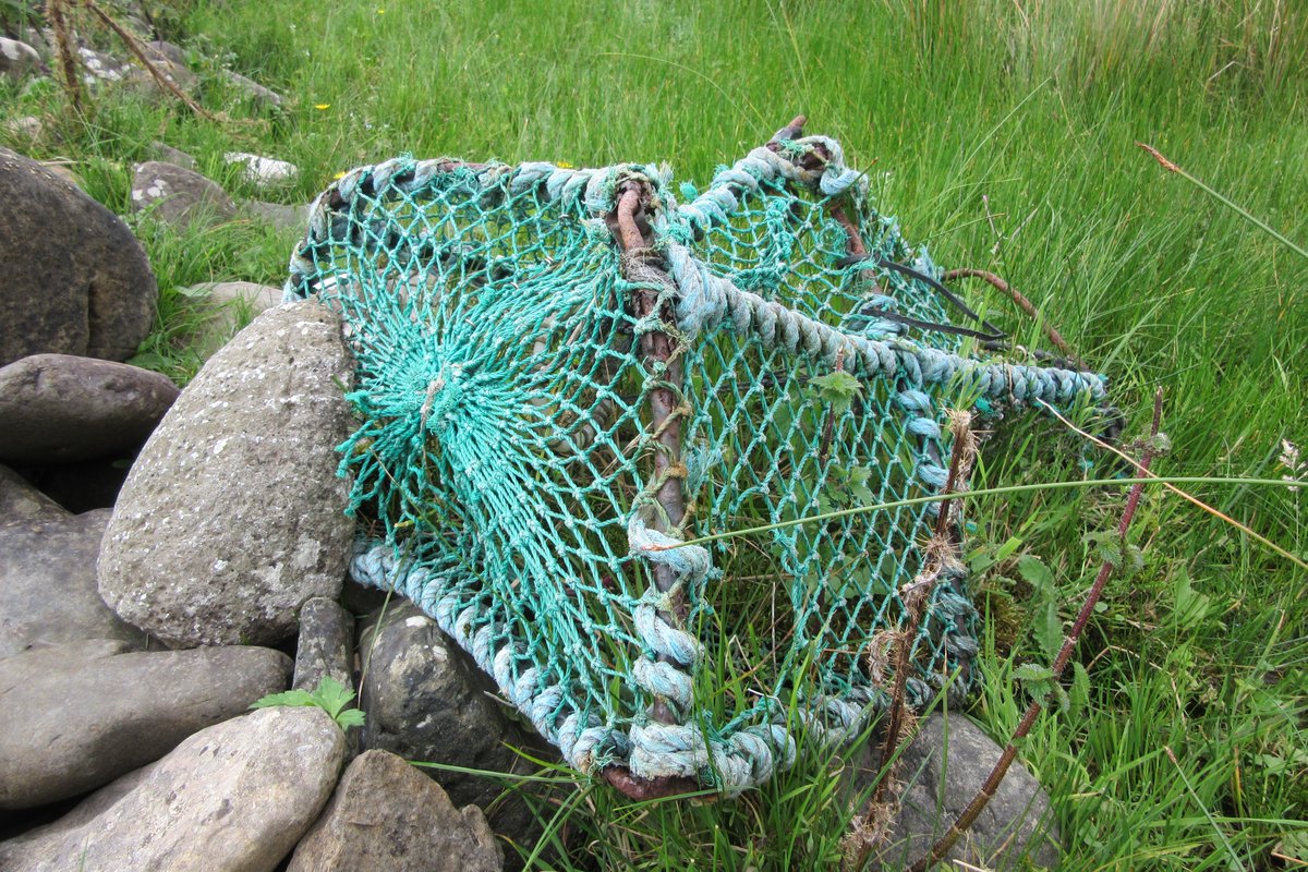 alfie_howard66's tweet image. Some photos from @ExtinctionDTP field trip to Knoydart and the Small Isles, with guidance from the wonderful @colinprior