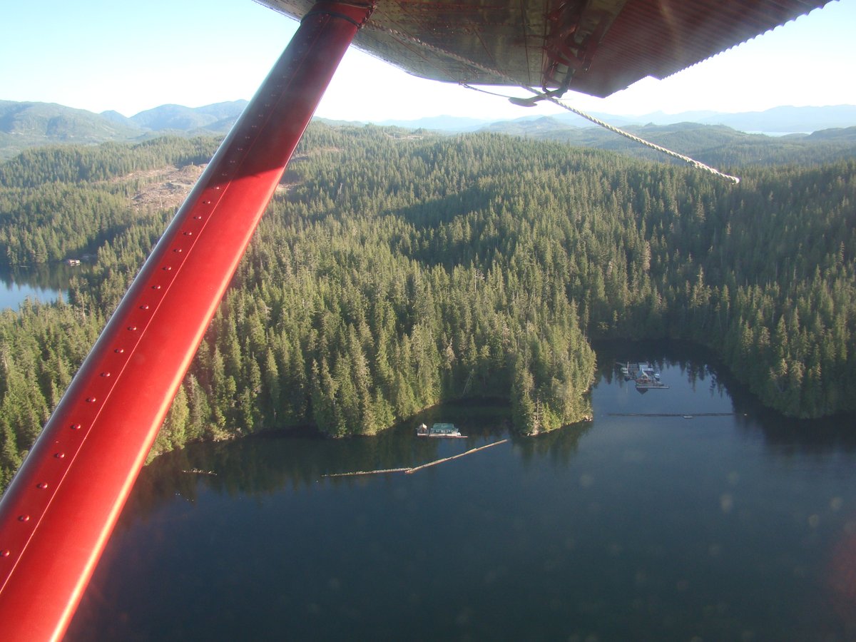 MelissaLCook's tweet photo. Float houses in SE Alaska dot the protected bays, as seen in this photograph. No one owns the water there, so there is no rent to be paid. Float house residents can park their vehicles... Check out Alaska Bush Life blog at https://t.co/X7h2ZIwRmM
#alaska #alaskabook #alaskalife https://t.co/wqFMaGCcKI