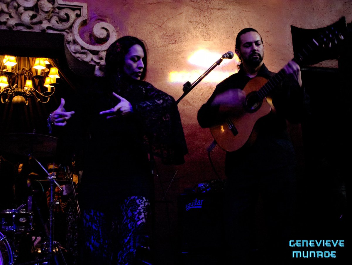 MojaMoja tweet media