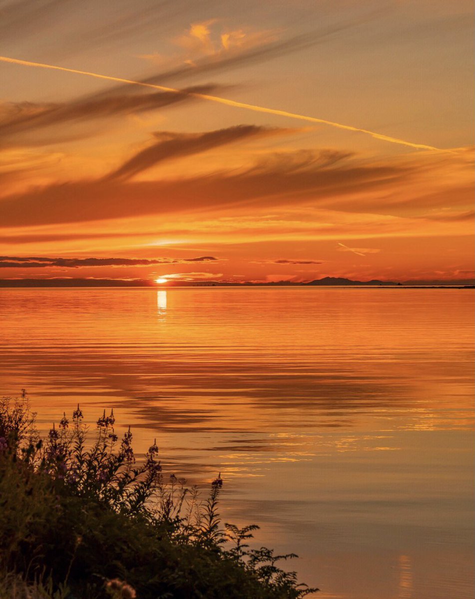 Michelle_7u's tweet photo. #Vancouver #sunset #Healing system #sunset glow https://t.co/3MHGgjBMTI