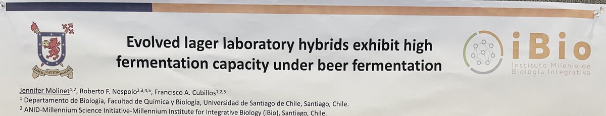 FcocubillosR's tweet photo. If you are around #Yeast22 @GeneticsGSA today, come and check our work tonight in Posters #92A (S. uvarum phylogenomics, @Tomas__P ), #91A (new lager hybrids @JenniferMolinet ) and #243A (non-Saccharomyces phylogenomics @pablovilla81 ). We would love to get your feedback! https://t.co/6ai9ikExgv
