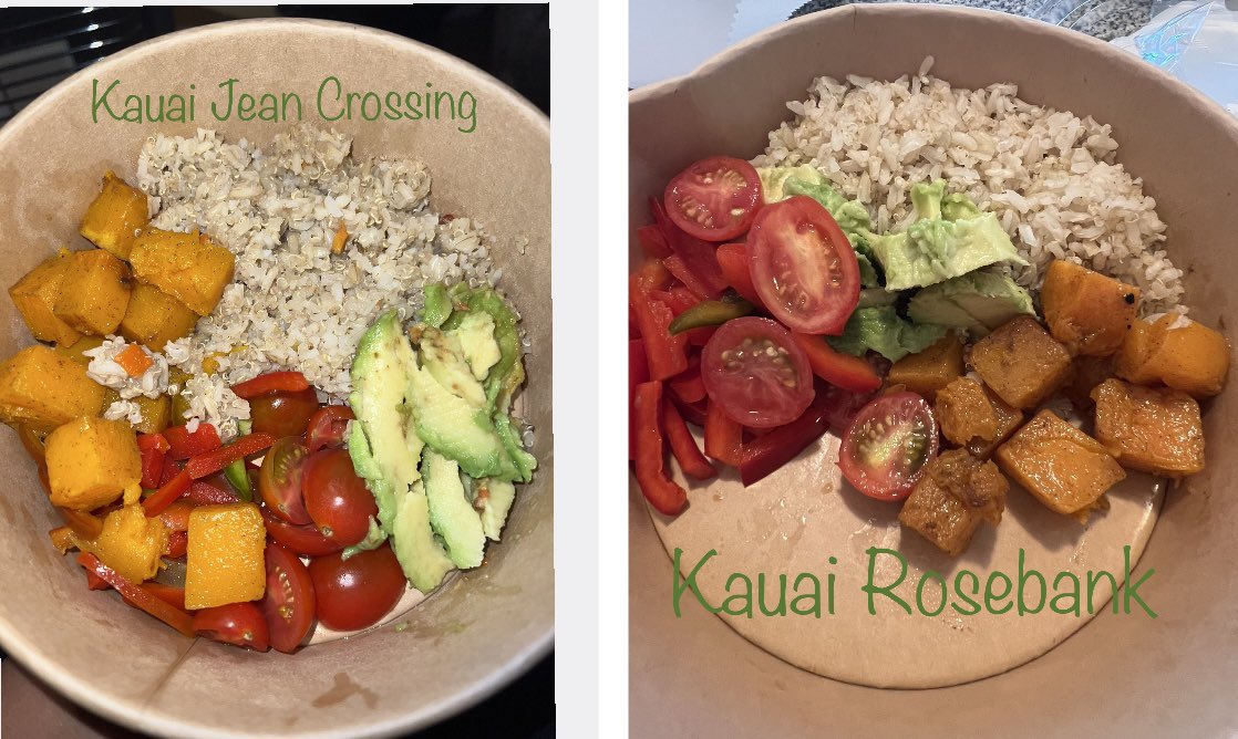 Boitumelo Jelele tweet media