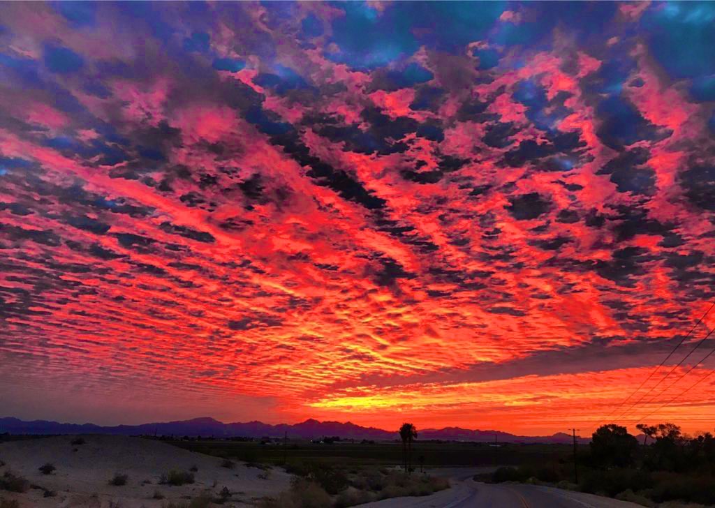 DRE THE NOID tweet media