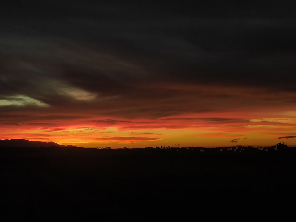 syra_pdf's tweet photo. Sharing some of my sunset shots

#sunset https://t.co/U8cSRBEeyh