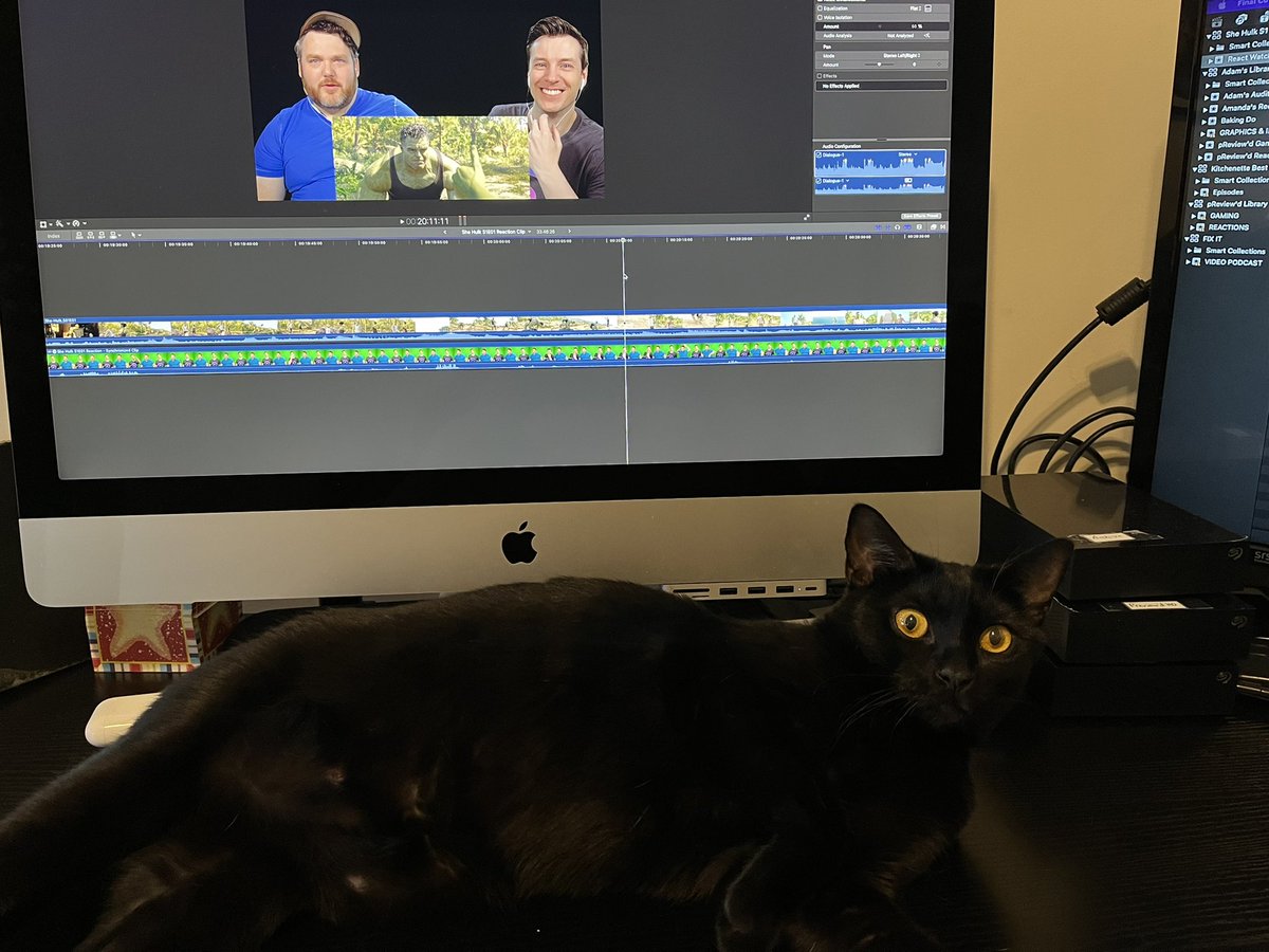 TheAdamLash's tweet photo. I’m doing my best to get #SheHulk edited and out to the Peaches. But this little miss demands some cuddles. If there’s any delay today it’s Sam’s fault 😬 https://t.co/TLT8Utb7bX