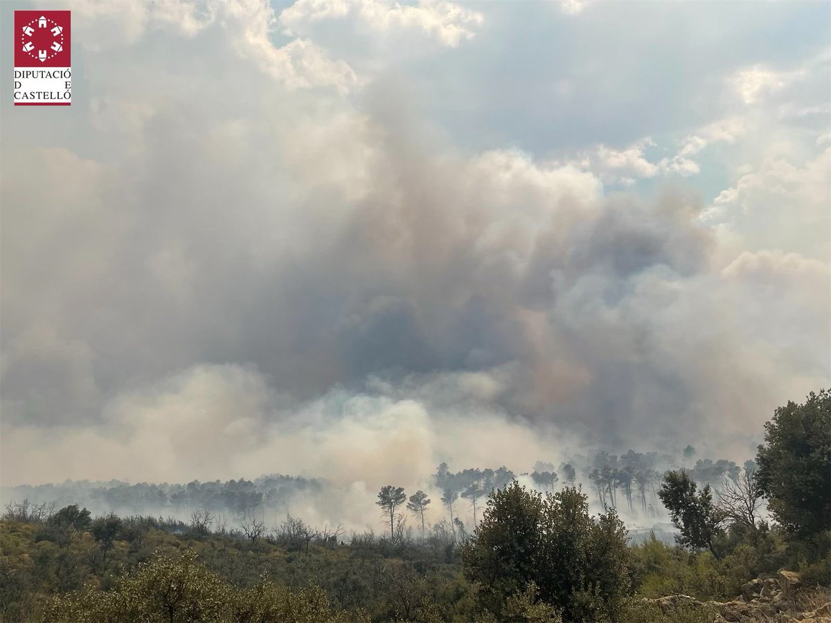 BombersDipcas's tweet photo. De nuevo dura jornada en #IFBejís, con una meteorología que hoy tampoco nos ha dado tregua. Trabajo incesante de los más de 400 efectivos terrestres y 36 medios aéreos. https://t.co/KgfhpjDIF5