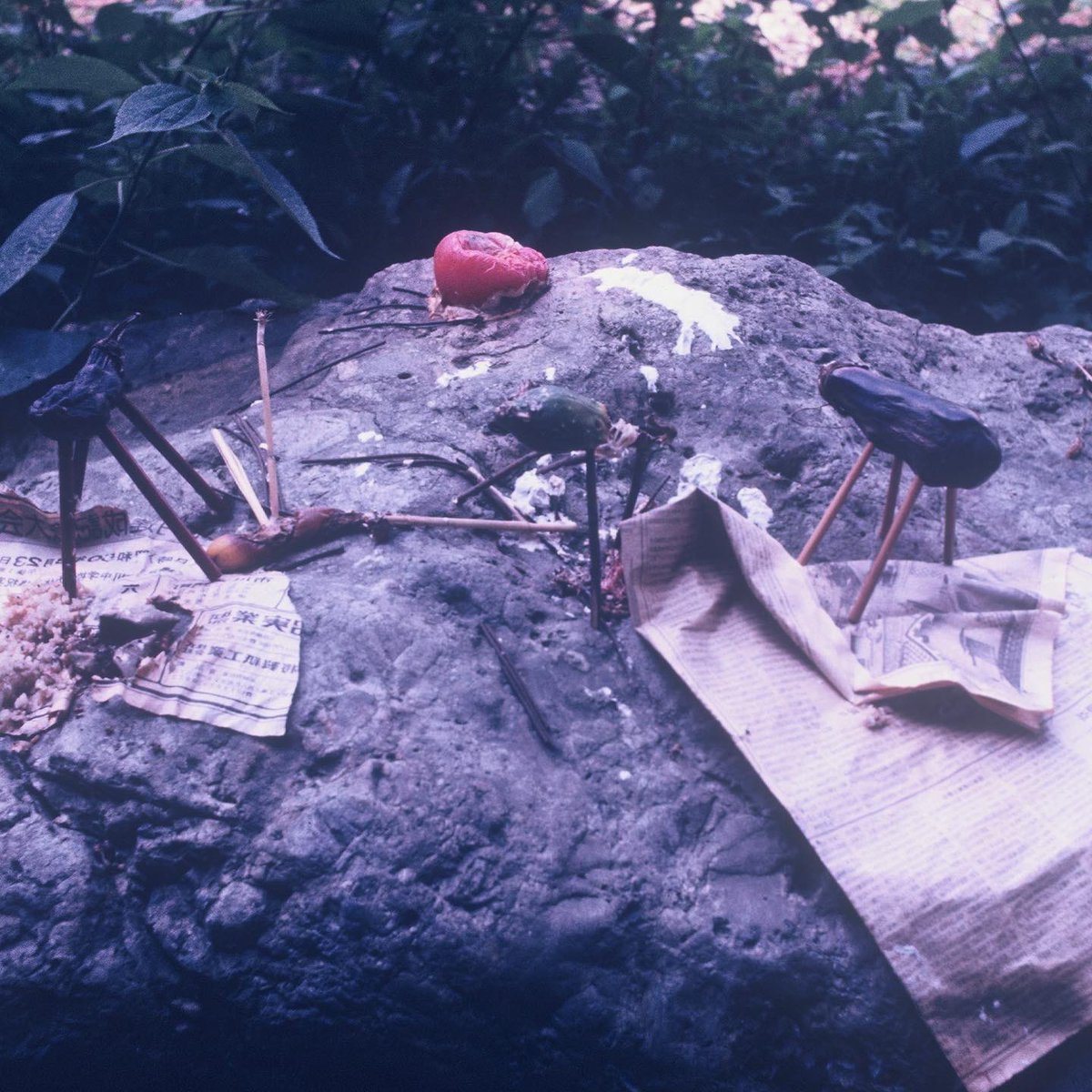 Growing/Dying comes out tonight 

midnight EST / 10pm MST 

Cover photo by Tony Ehnle 
Produced &amp; mixed by David Greenbaum 

Music Video by Kohana Wilson premieres tomorrow at noon est on YouTube

Backseatlovers.lnk.to/growingdying