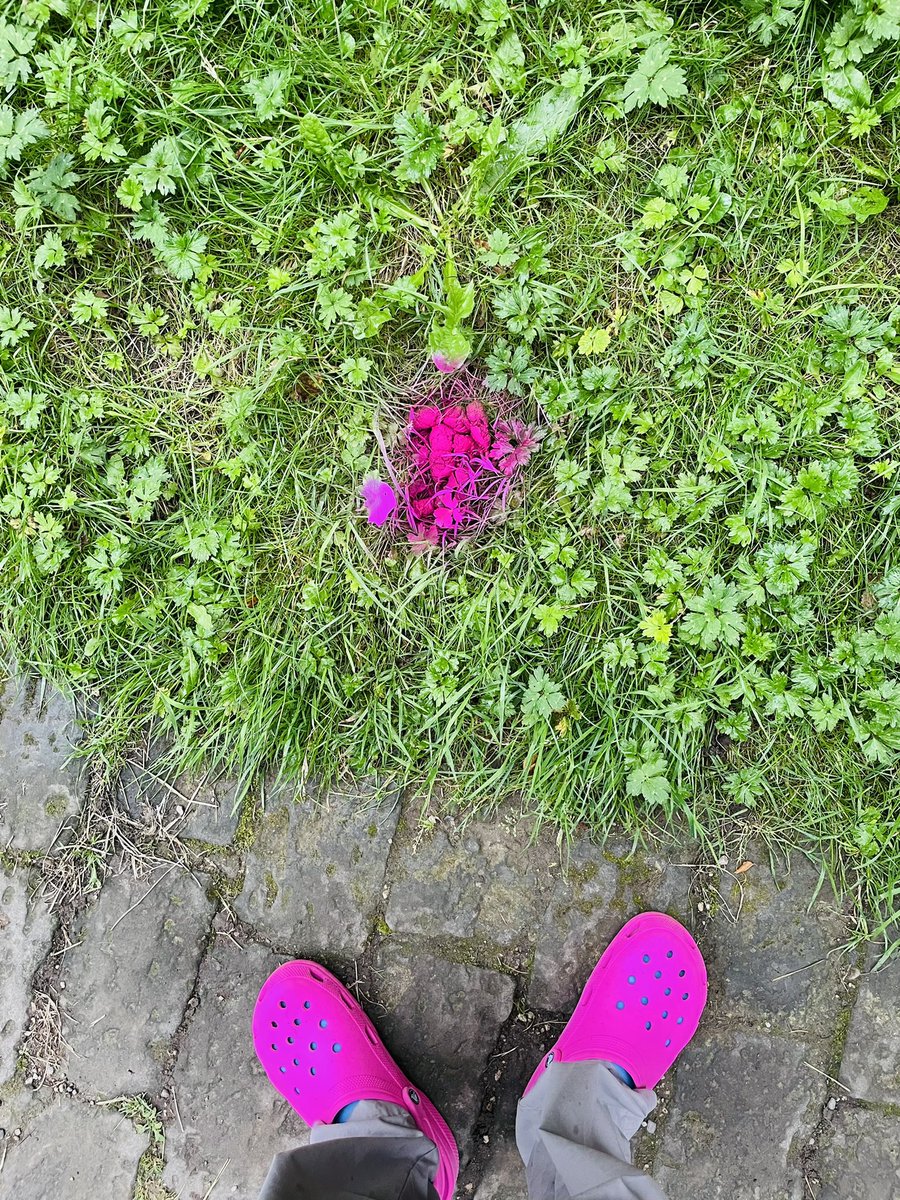 Some activist artist round here sprays dogs shits pink