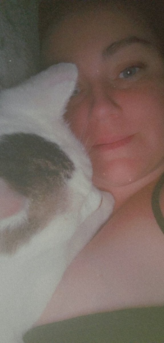 Gemzmtn85's tweet photo. Loves snuggles with his mumma #AdoptDontShop #CatsOfTwitter #seniorkitizen https://t.co/dqQbzqIuvL