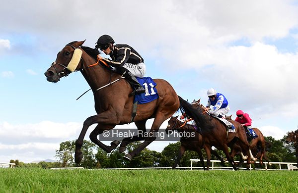 irishracing.com tweet media