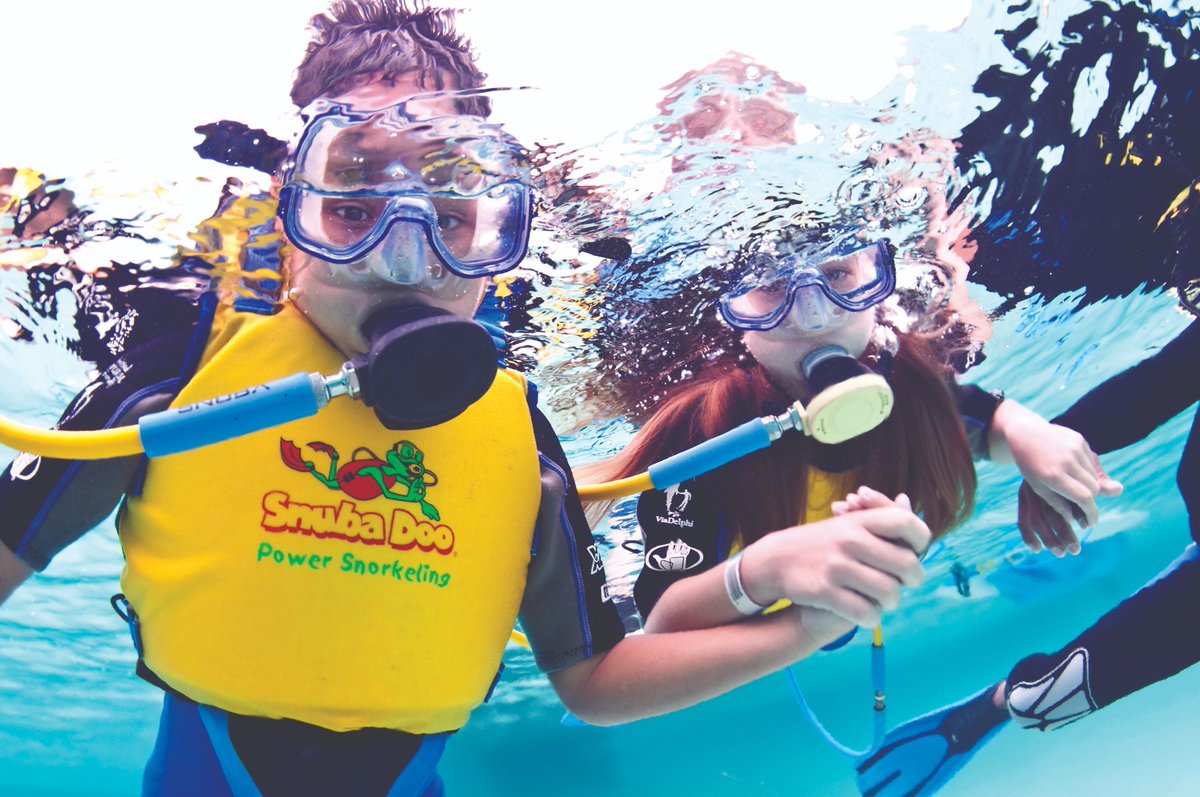 _SNUBA's tweet photo. Have you heard about our SNUBA DOO 🥽 program? SNUBA DOO is uniquely designed for children aged six and seven so that they, too, can join their families on a SNUBA adventure. #Snuba #SnubaDoo #snubalife🤙🏼✌️🐢🐟🐠🌴 https://t.co/wJZNhheNLU
