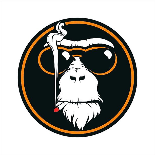 iAPED_'s tweet photo. @0xFitz @Cryptomafia1994 @BlocksNThoughts @EbisuETH Yo Fitz, i APED! HAVE YOU?! https://t.co/5ZFrwBv92P