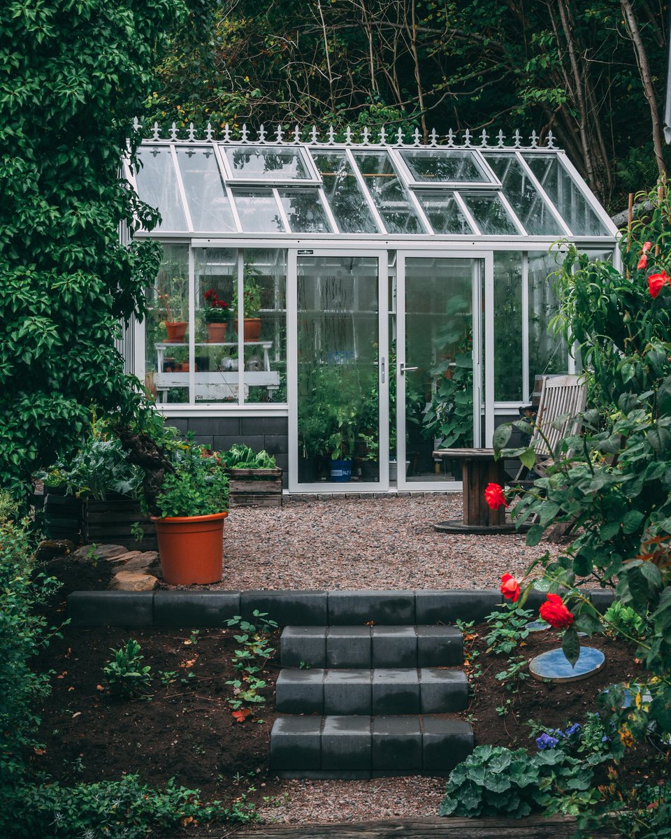 viktor_rene's tweet photo. Lush greenhouse in Båstad.
. 
📷 : Lumix G85 - Lumix 35-100mm lens.
. 
#photography #lumix #natgeoyourshot #greenhouse #garden #photooftheday #photo #nature #scandinavianphoto #microfourthirds #sweden https://t.co/nUsldc7wcv