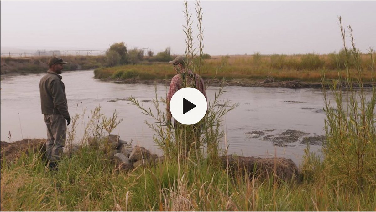 << Test First Name >> - Community Science Needs You - mailchi.mp/clarkfork/50_w…