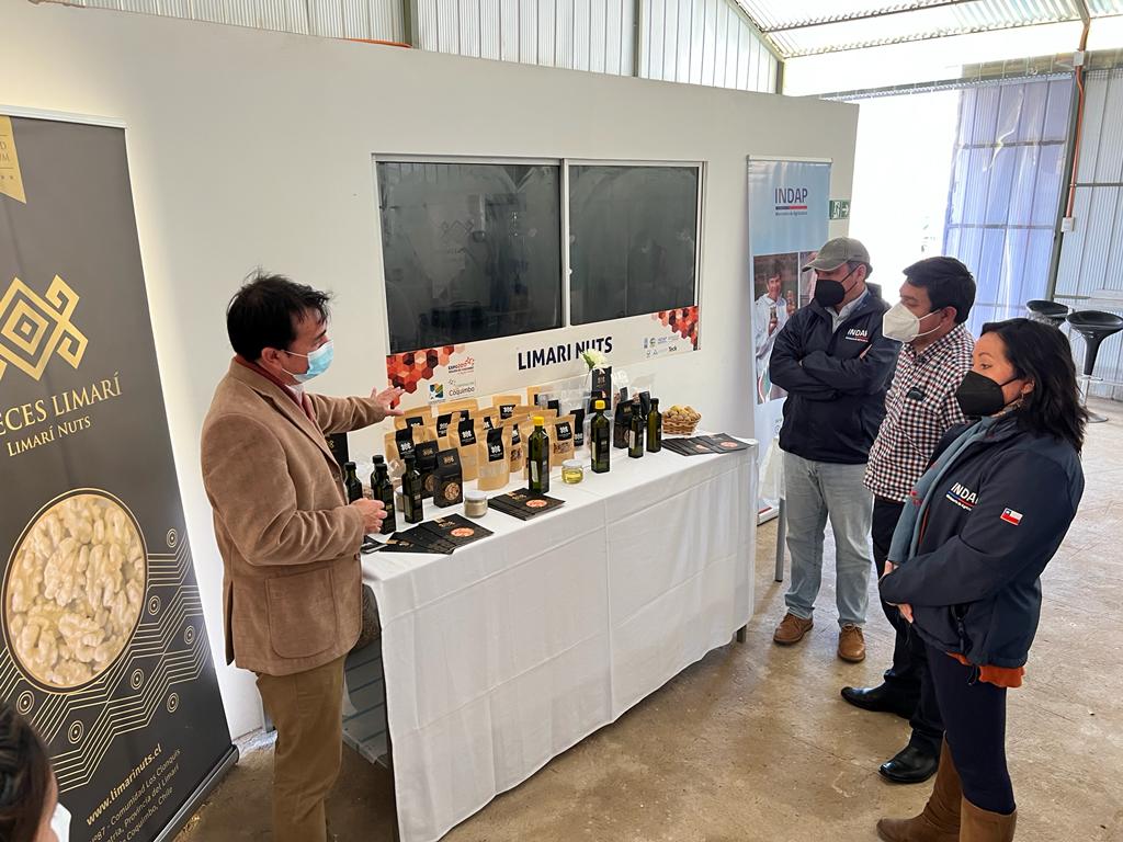 Indap_coquimbo's tweet photo. ✔️¿Sabías que el Prog. de Asociatividad Económica(PAE) busca desarrollar y/o fortalecer empresas asociativas👩‍🌾🧑‍🌾y grupos pre-asociativos contribuyendo al desarrollo💲de la #AgriculturaFamiliarCampesina?

DR (S)Tonya Romero conoce avances de @limari_nuts gracias al apoyo de #INDAP https://t.co/6sZInqSfeP