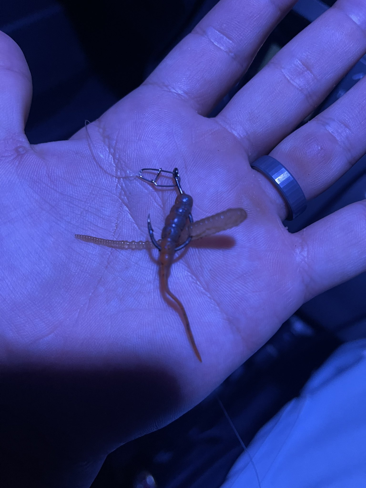 鬼舞辻無惨 寝れなかったからナイトゲーム 2キャッチ テキトーにワーム2個付けwww 鬼舞辻流 流行らそうぜ Azusa66sl ミキユー ジャングルパーチ オオクチユゴイ ナイトゲーム 沖縄 釣り Fidelity T Co Bvfobmy16p Twitter