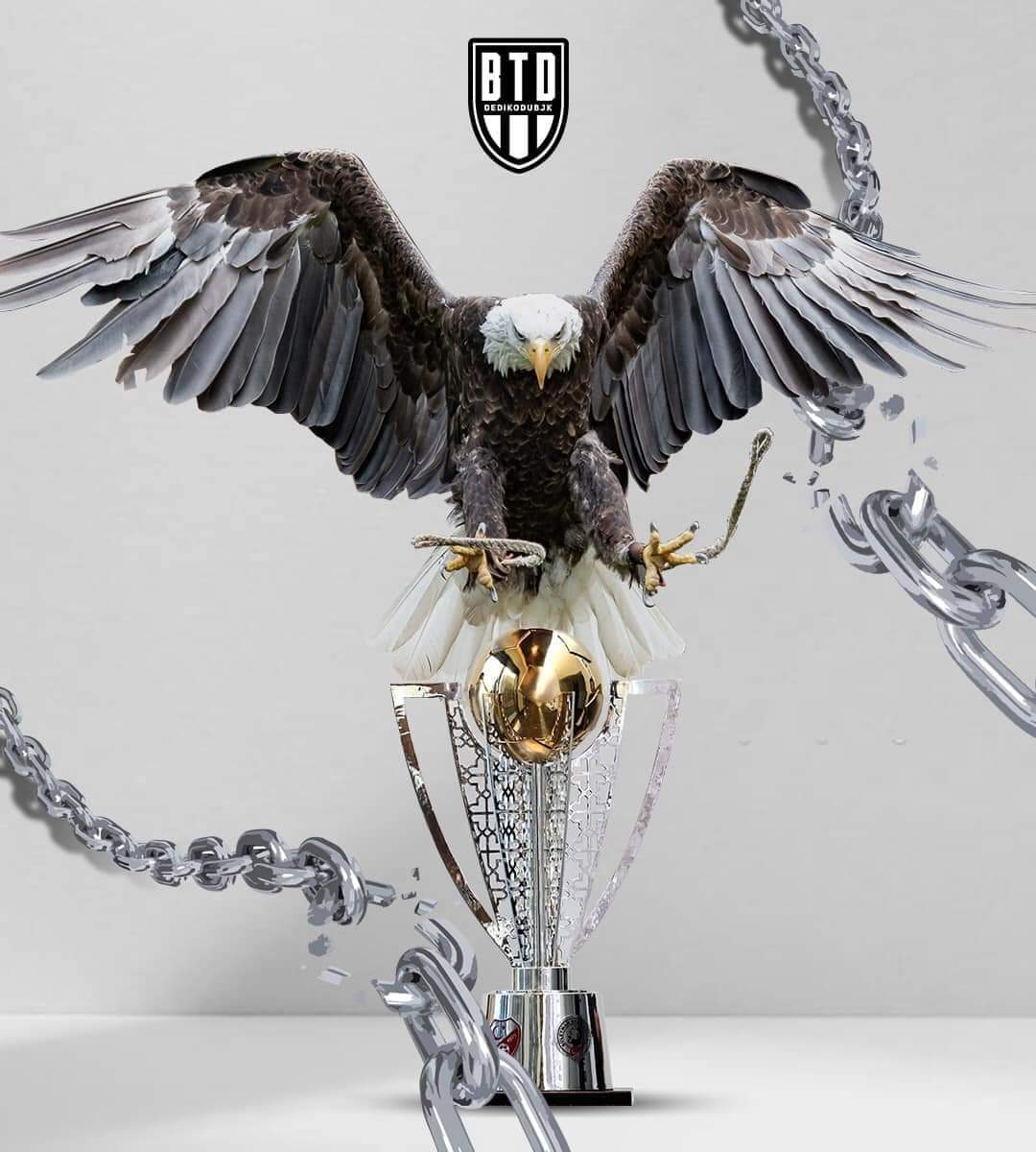 Senin karşında anaokulu çocuğu yok öyle azarlar gibi sen hayırdır eline koluna sahip ol ... #ElineKolunaSahipOlTff