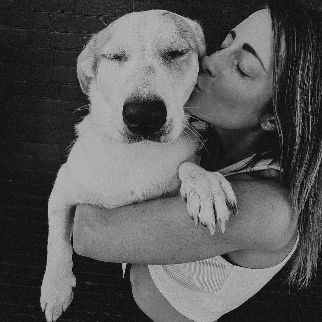 Hayfink_'s tweet photo. Happy Gotcha day Finney boy! I got ya 1 year ago today and you got me wrapped around your huge paws. 

We went from 11 pounds and loving being held to 56 pounds and please put me me down. https://t.co/7Wn9X0FIXH