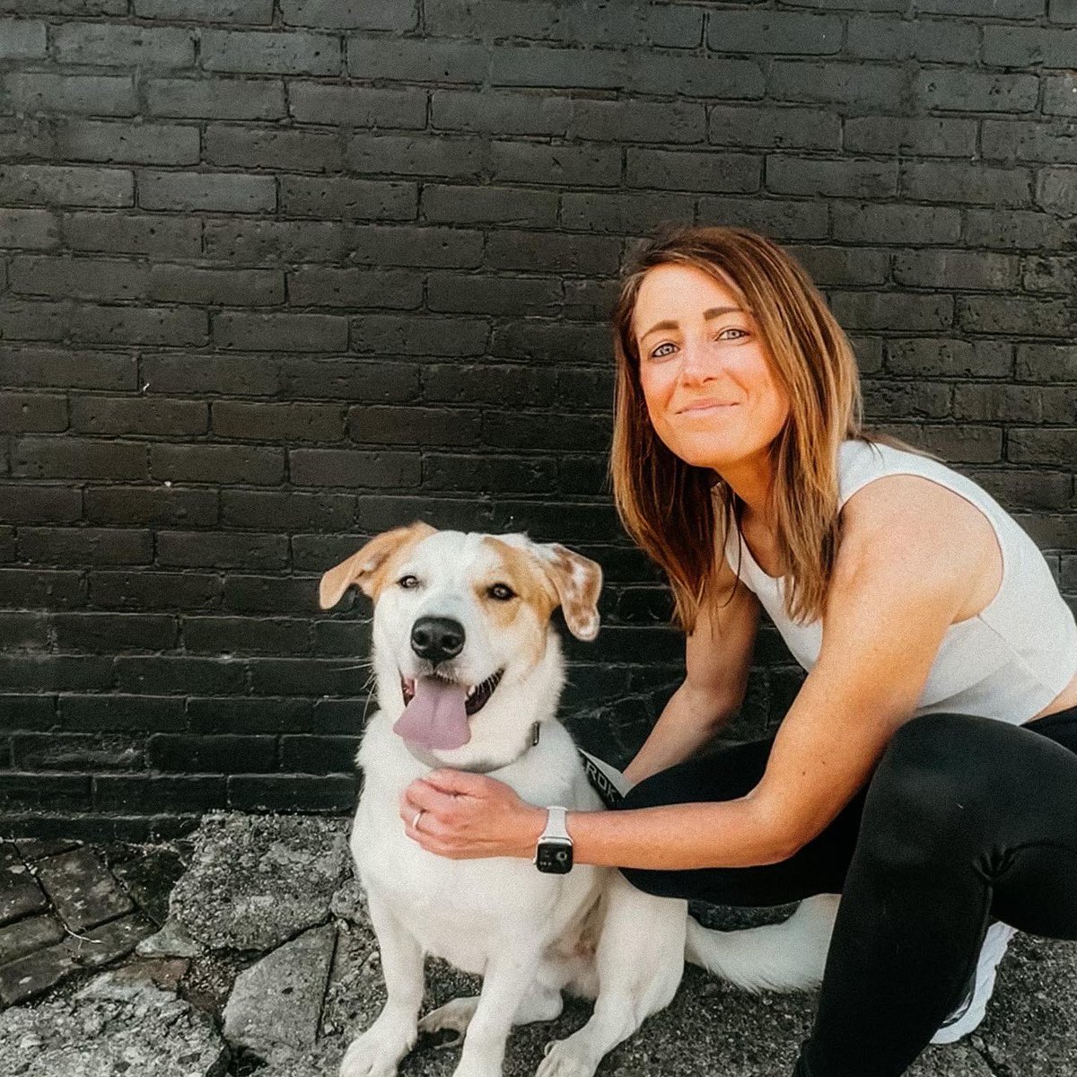 Hayfink_'s tweet photo. Happy Gotcha day Finney boy! I got ya 1 year ago today and you got me wrapped around your huge paws. 

We went from 11 pounds and loving being held to 56 pounds and please put me me down. https://t.co/7Wn9X0FIXH