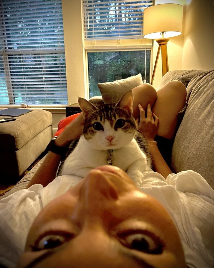 TheBugMX's tweet photo. Lisette &amp; Mafalda.
.
.
#cats #pets #cats #love #cozy https://t.co/kqKpk3F90i https://t.co/N2Zk9nh7yI