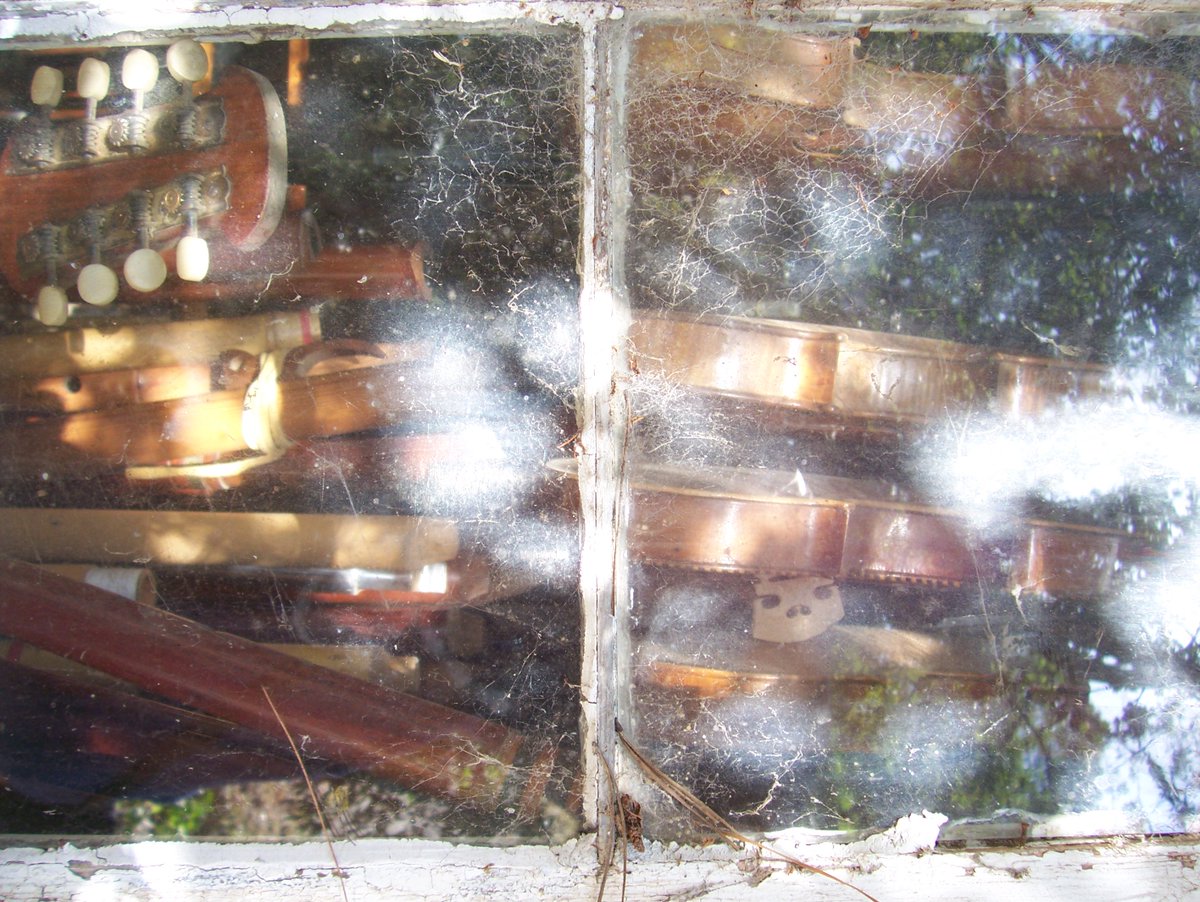 debzhealey's tweet photo. Through the Luthiers window 👁️🎻🕸️
#Windowsthroughtime #stillife #photographylovers https://t.co/6uxBhyI2eX