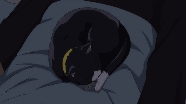 Hey guys... 

Yeah I forgot I existed-