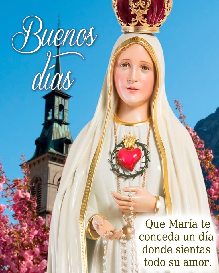 Caballeros de la Virgen tweet media