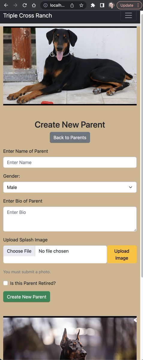 ARondinaCodes's tweet photo. Day 47-50 of #100DaysOfCode:

Half way there! Been styling out each page, it's exciting to build a fully responsive app. Next major addition is user login. After that will be the ability for a customer to join a waitlist for a specific puppy. I love relational databases! https://t.co/nNKJ6xH25G