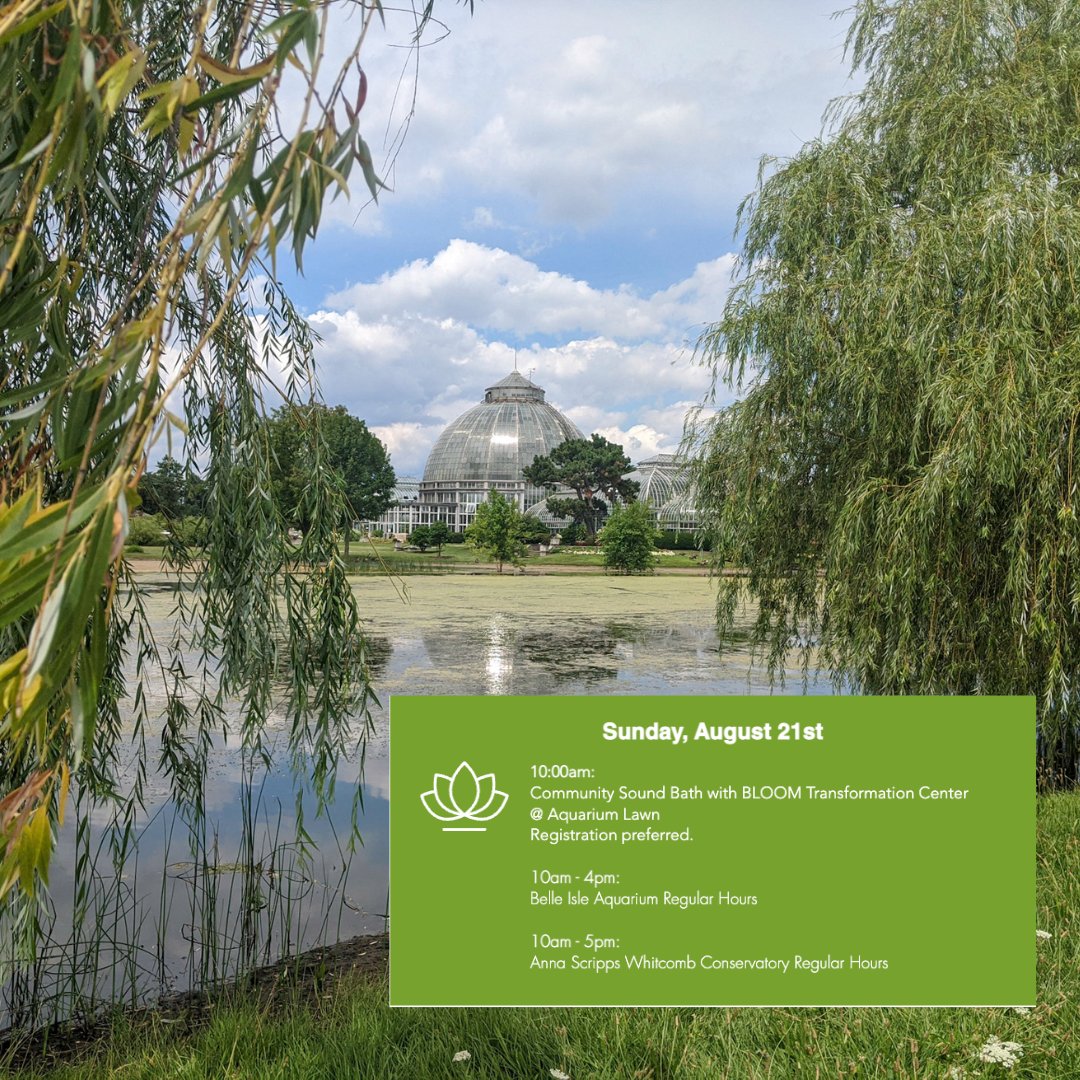 Detroit Grand Prix tweet media