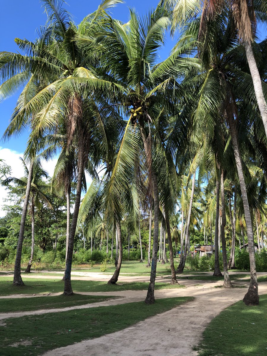 mabuhayhappily's tweet photo. Memories of the trip  

Olango Island 🌴
Right next to Mactan Island 
Friendly people and great smiles await lol 

#Philippines #travel #Cebu #Olango https://t.co/MWMcGBMmsM