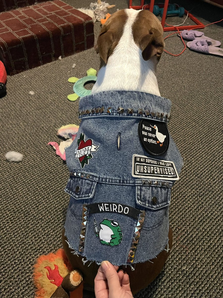 Jessica Knapik ✨ tweet media