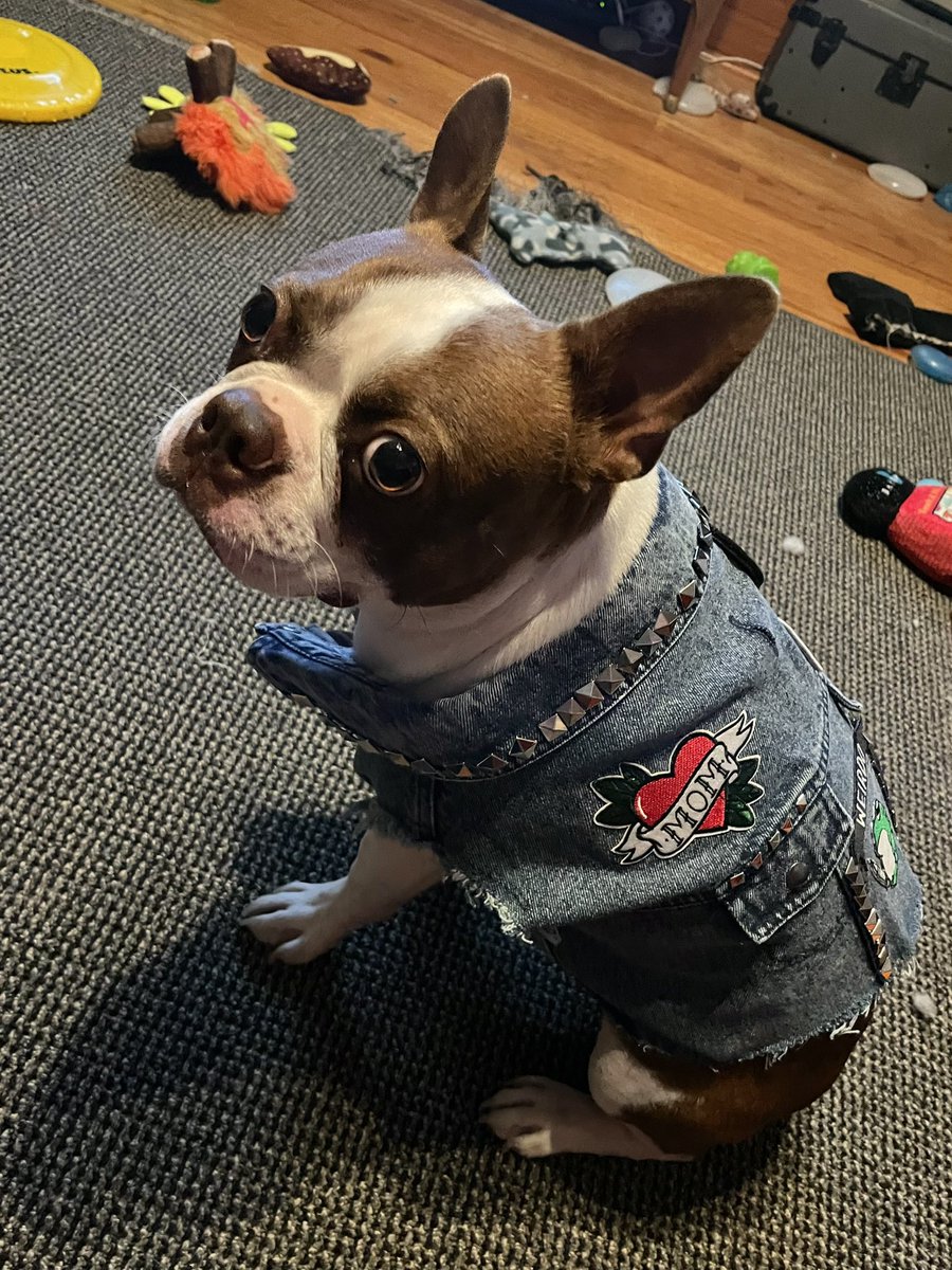 Jessica Knapik ✨ tweet media